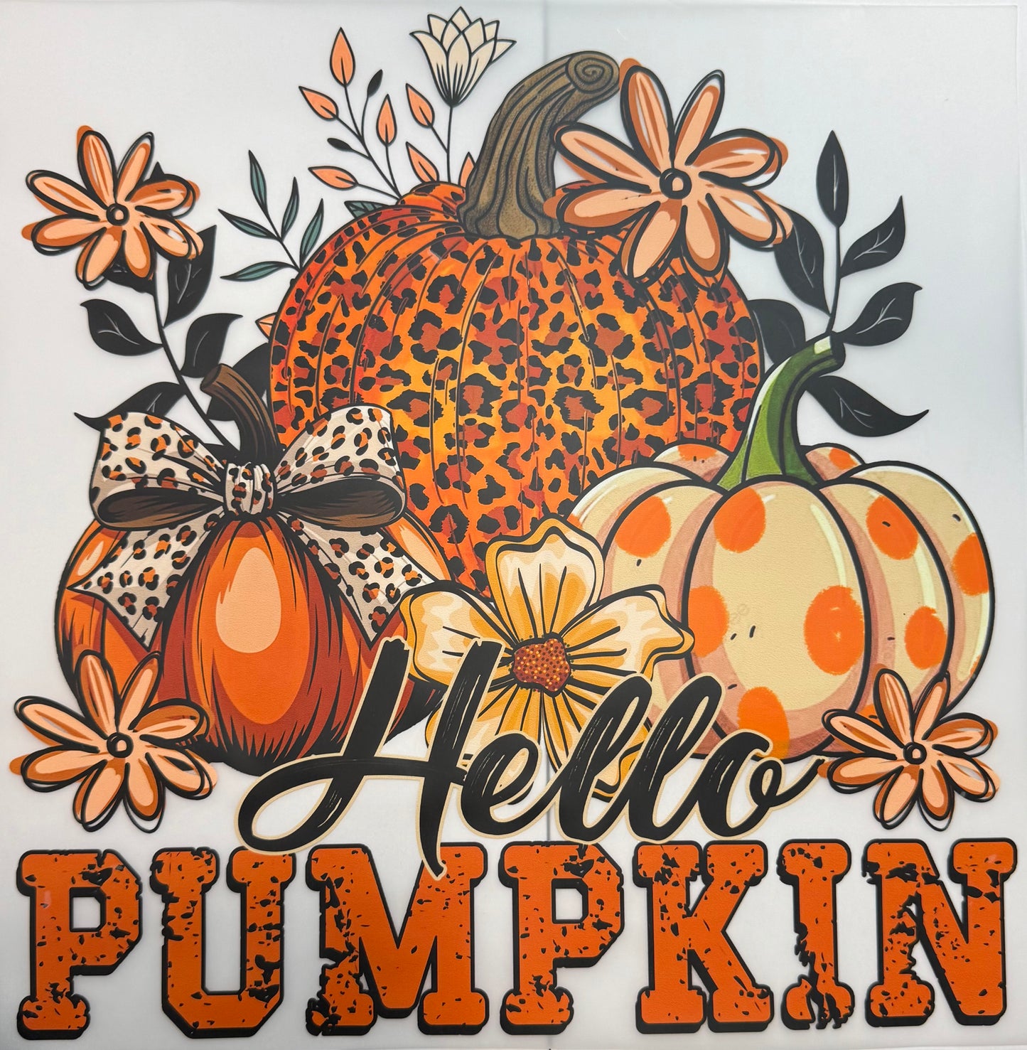 Hello Pumpkin Shirt Transfer