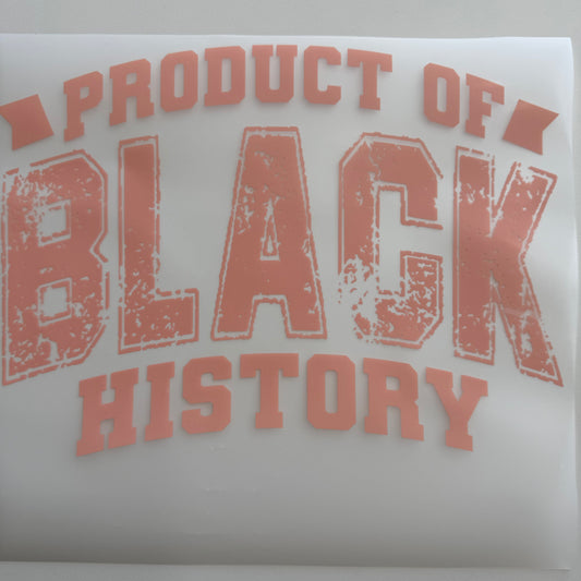 306 - Black History Shirt Transfer