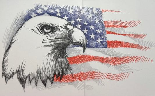 Eagle USA Shirt Transfer