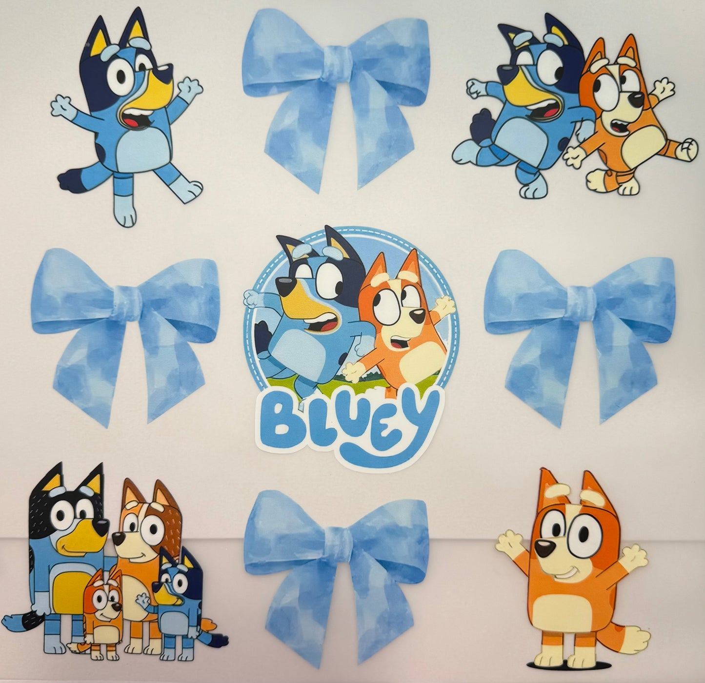 Bluey Shirt Transfer