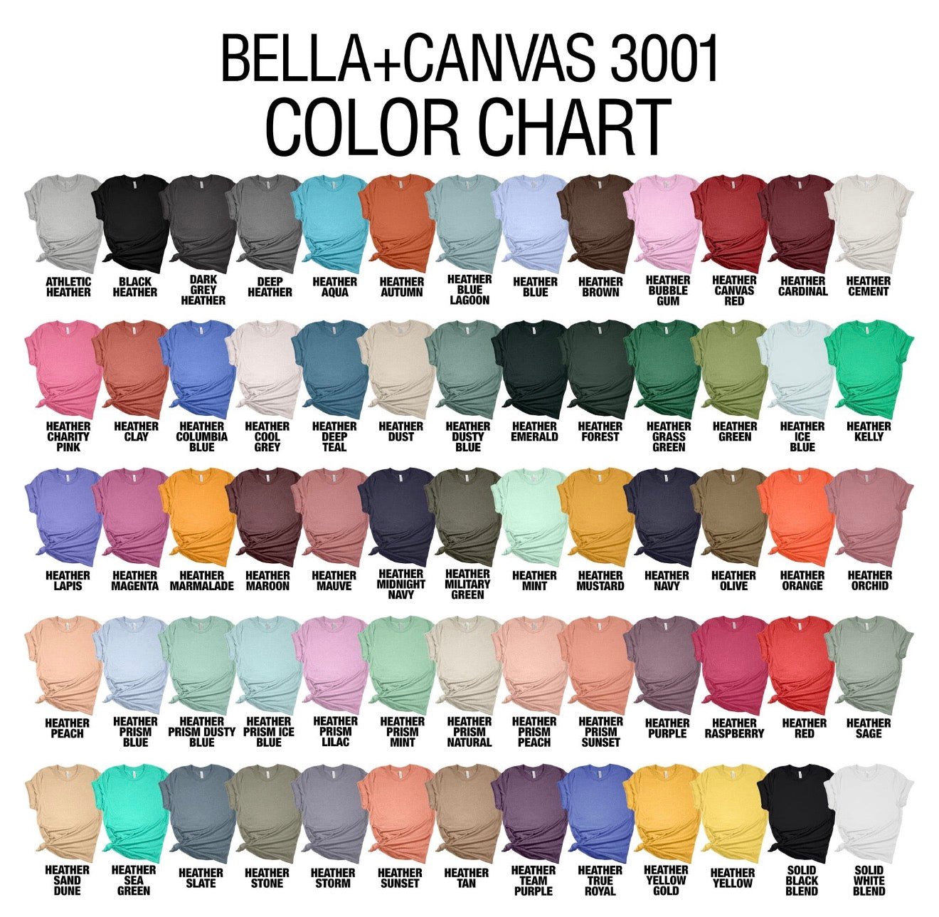 Choose Bella + Canvas T-Shirt ADULT