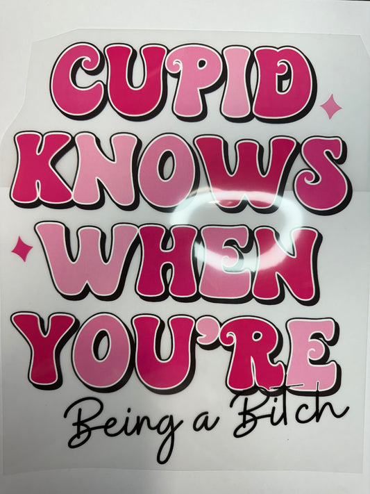 178 - Valentines Shirt Transfer